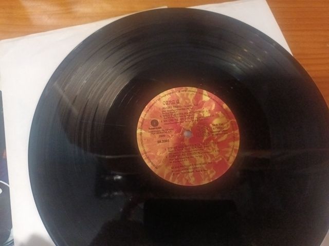 Greta y los Garbo vinilo LP