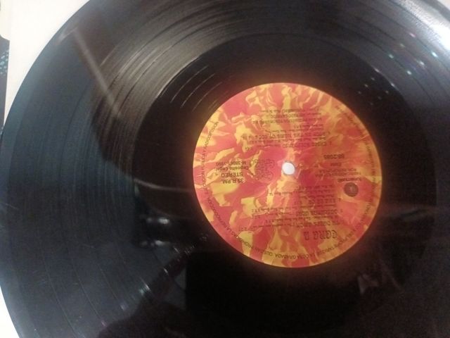 Greta y los Garbo vinilo LP