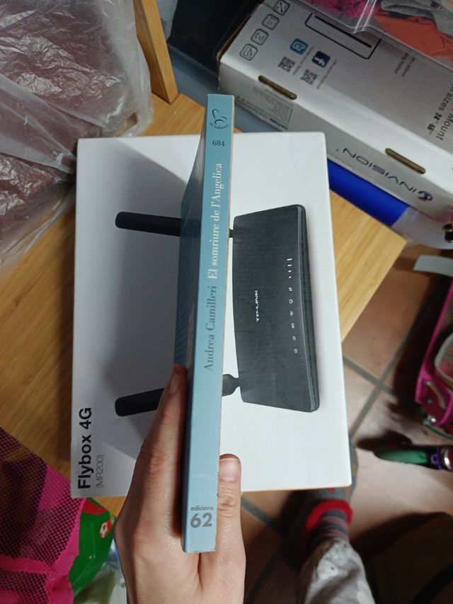 El somriure de l'Angelica