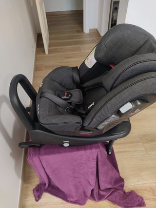 Joie tri-protect 