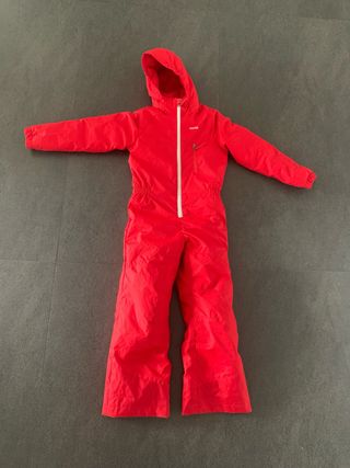 Mono ski