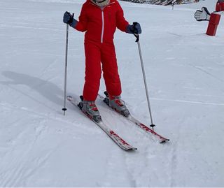Mono ski
