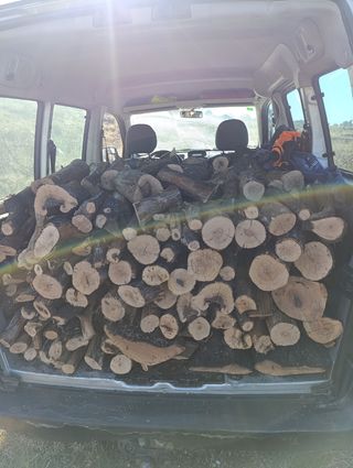 Leña de encina seca