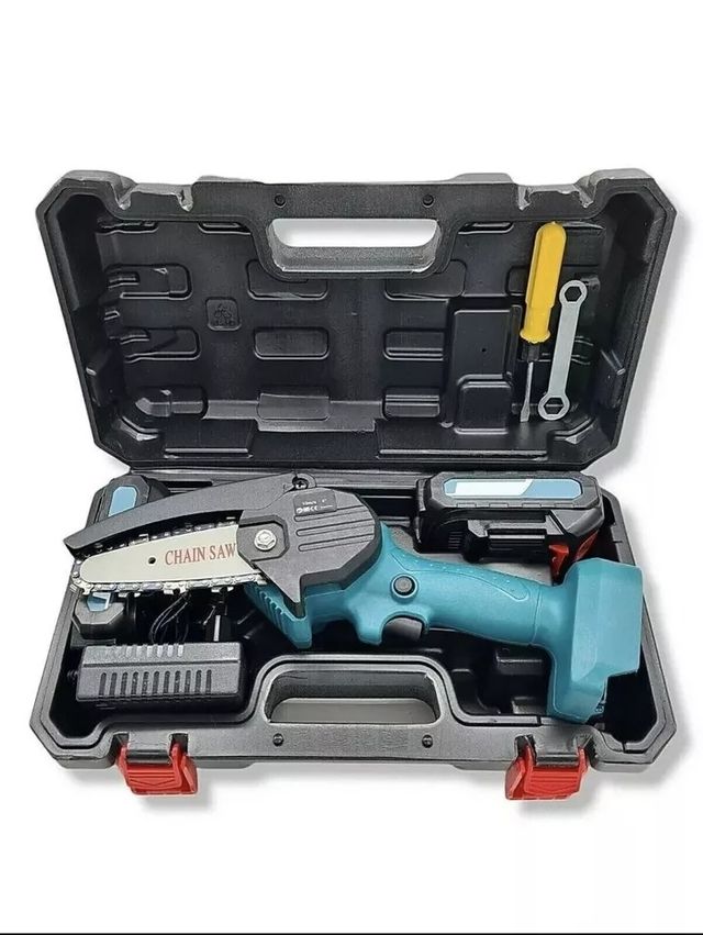 Motosega doppia batteria 