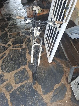 Bicicleta orbea