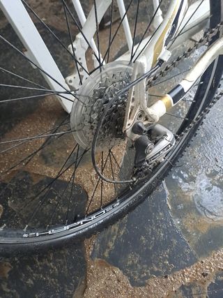 Bicicleta orbea