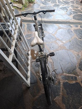 Bicicleta orbea