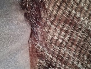 Alfombra pelo(precio final 30€)