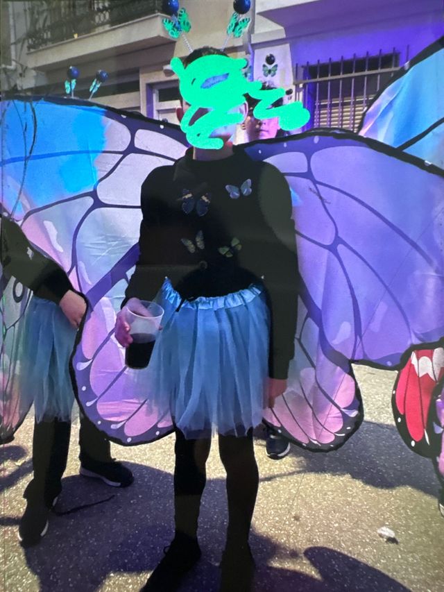 Disfraz mariposa