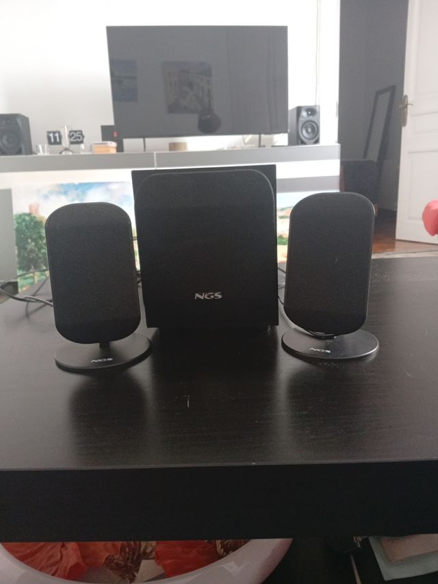 Altavoces para ordenador NGS