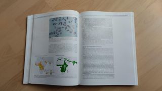 Fundamentos biológicos de la conducta UNED