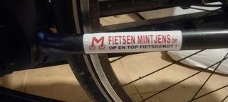 Bicicleta eléctrica Holandesa Koga E-Nova