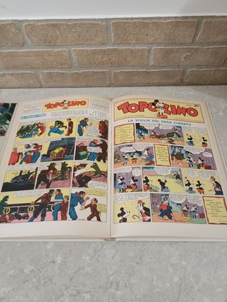 Libro Raccolta Topolino 1935