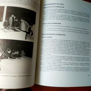 El niño y el museo. Experiencia Pedagogica. Exposi