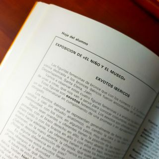 El niño y el museo. Experiencia Pedagogica. Exposi