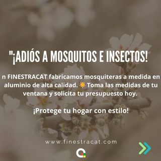 Mosquitera