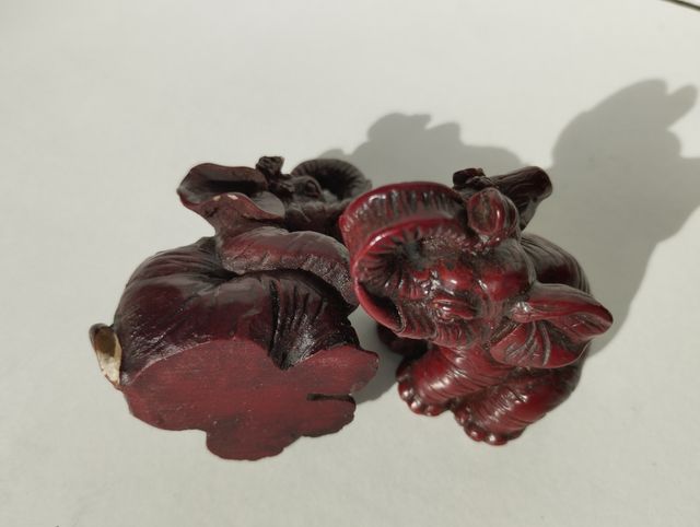 Elefantini portafortuna