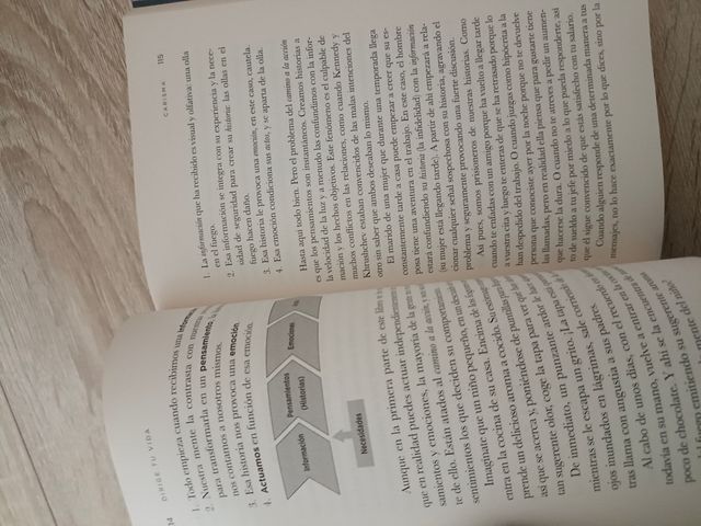 Dirige tu vida: Descubre las habilidades sociales y emocionales que te conducirán al éxito personal