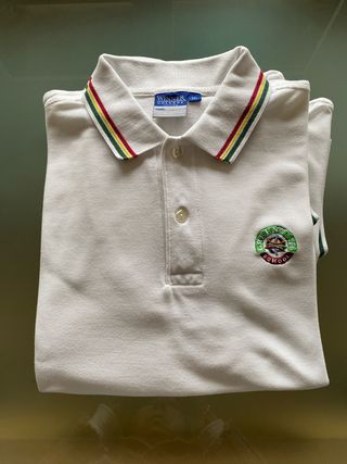 Polo Colegio Greenwhich Talla 16