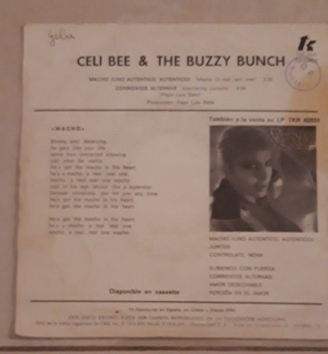 Celi Bee And The Buzzy Bunch