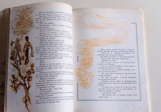 Libro de lectura Senda 4 EGB Santillana