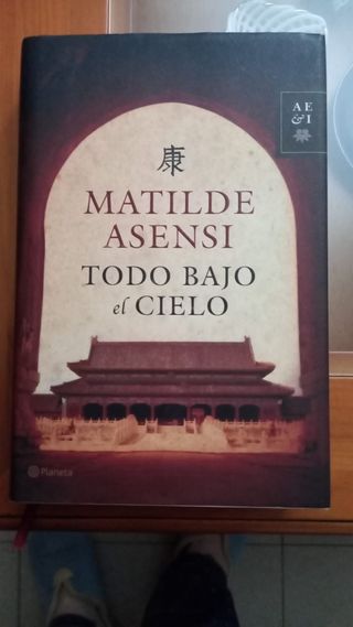 Todo bajo el cielo. Matilde Asensi