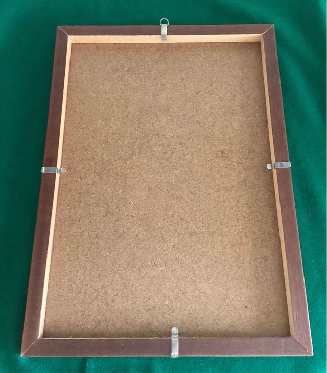 Litografia acquarellata cane Spaniel