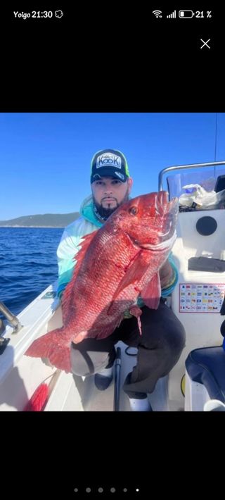 Salidas de pesca en embarcación 