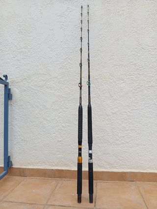 Canne da traina Shimano