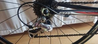 BH carbon classic
