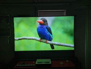 Pantalla proyector UST ALR eléctrica suelo 100"