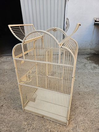 Jaulas de loro SIN LORO