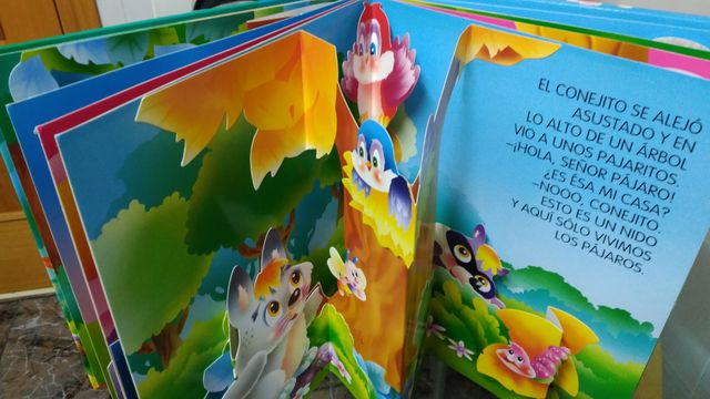 Libro, Aventuras Sonoras en el Bosque