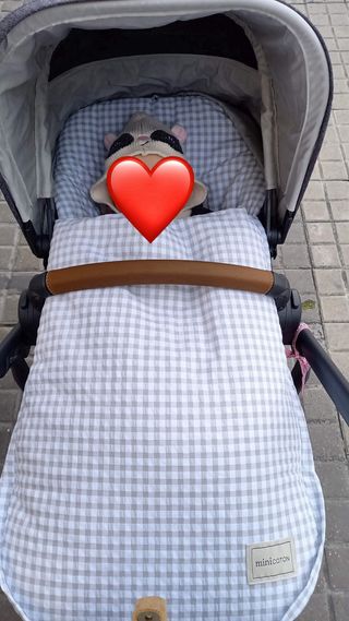 Carro bebé Uppababy Cruz V2 con silla y capazo