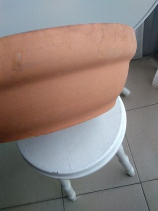 Maceta de barro para bonsais