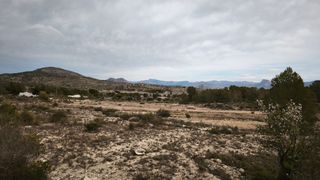 Parcela: tu hogar ideal en la naturaleza