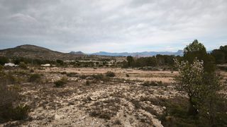 Parcela: tu hogar ideal en la naturaleza