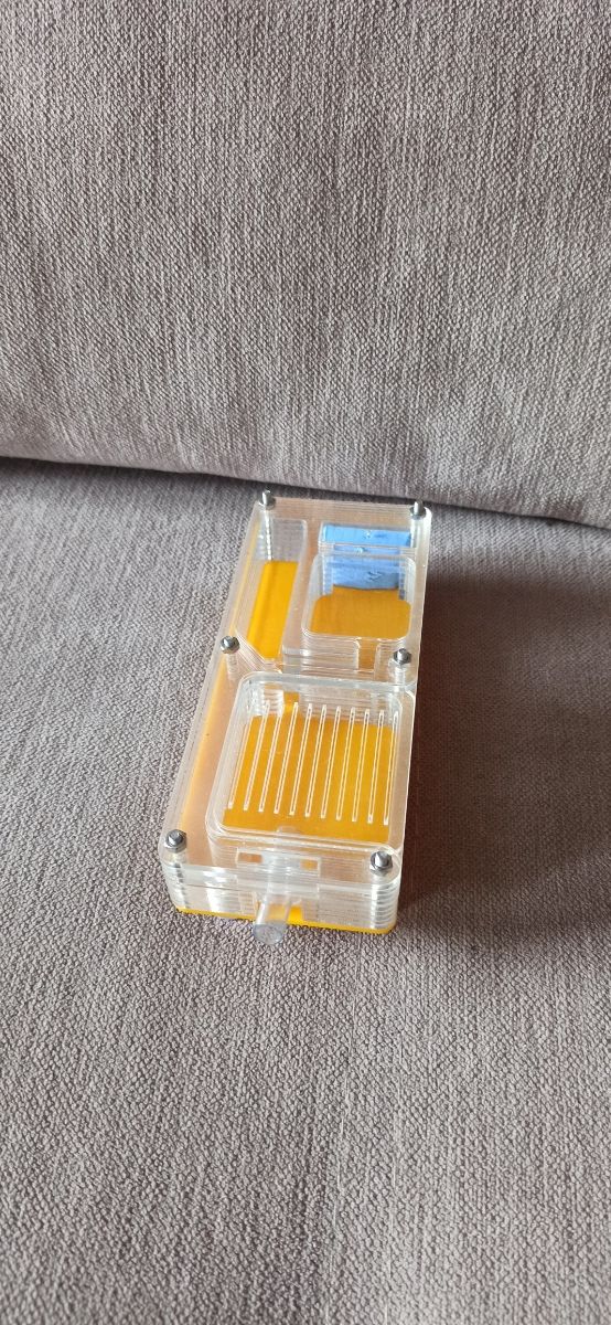 Hormiguero acrílico 