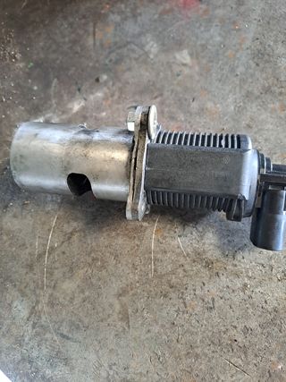 valvula EGR