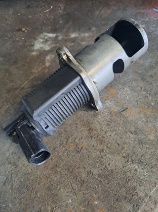 valvula EGR