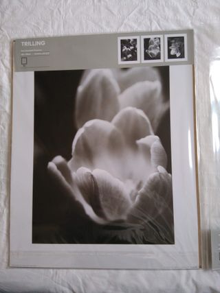 Lámina para cuadro