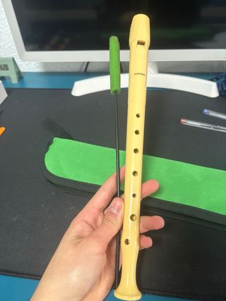 flauta estuche y limpiador