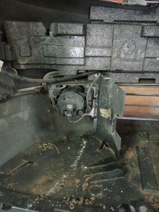 Antiniebla izquierdo Renault Scénic