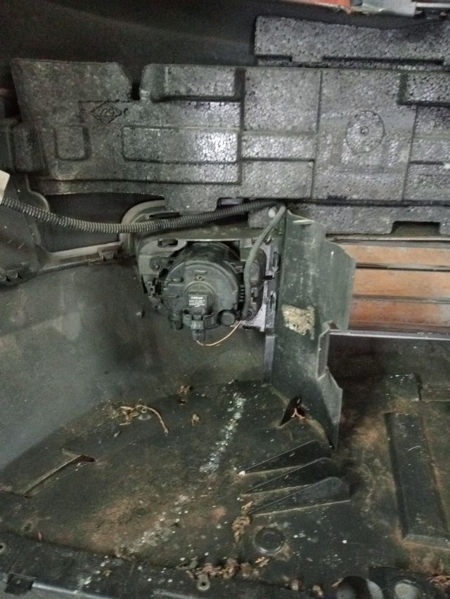 Antiniebla izquierdo Renault Scénic