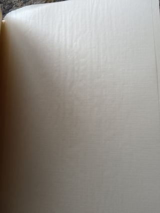 Almum fototo 25 x30 poltrona Frau orig