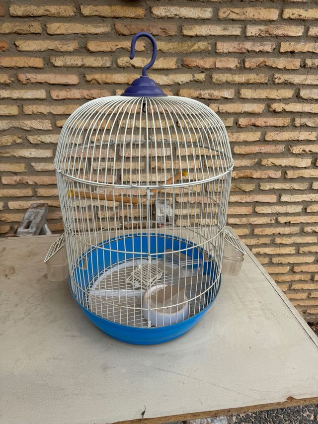 Jaula de pajaro
