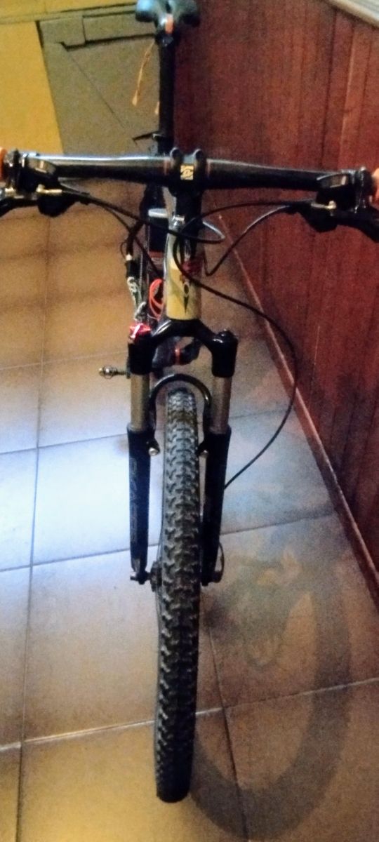 Bicicleta montaña carbono 