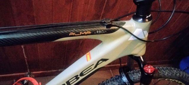 Bicicleta montaña carbono 