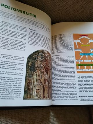 Tomo 11 Enciclopedia Salvat