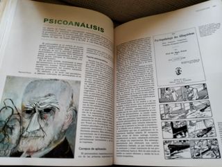 Tomo 11 Enciclopedia Salvat
